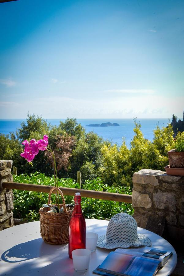 Villa Punta Del Sole Positano Eksteriør billede